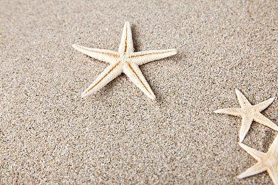 《真女神转生5》恶魔介绍：日本神话的演艺女神天钿女命